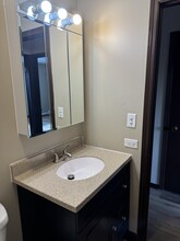 1353 Crab Apple Ct in Naperville, IL - Building Photo - Building Photo