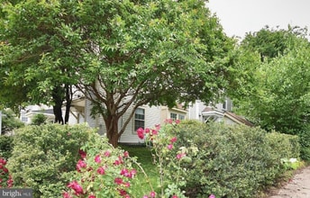 14370 Gringsby Ct in Centreville, VA - Foto de edificio - Building Photo