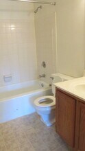 220 Orchard Trace Ln in Charlotte, NC - Building Photo - Building Photo