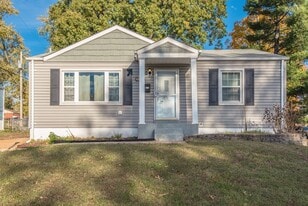 10701 St Henry Ln in St. Ann, MO - Building Photo