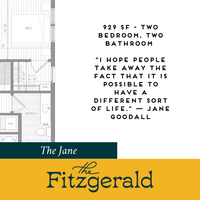 The Fitzgerald photo'