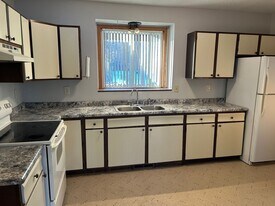 10342 Lever St NE in Circle Pines, MN - Building Photo