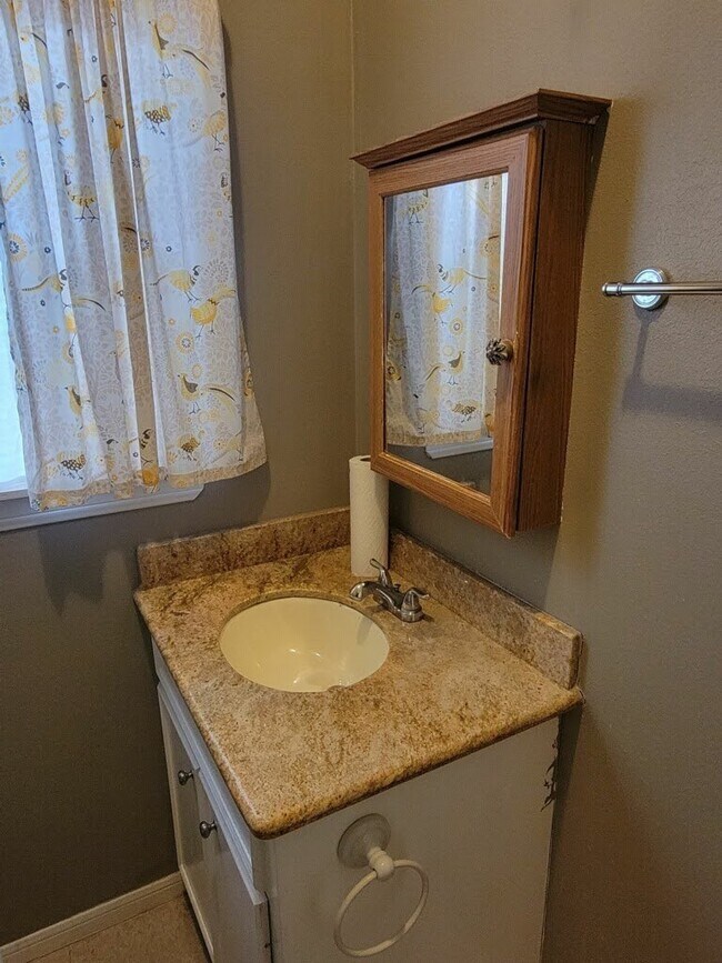 1905 Chapman St in Houston, TX - Building Photo - Building Photo