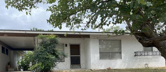 property at 203 Ranchero Rd