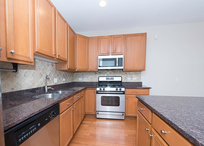 943 W 14th Pl in Chicago, IL - Building Photo - Building Photo