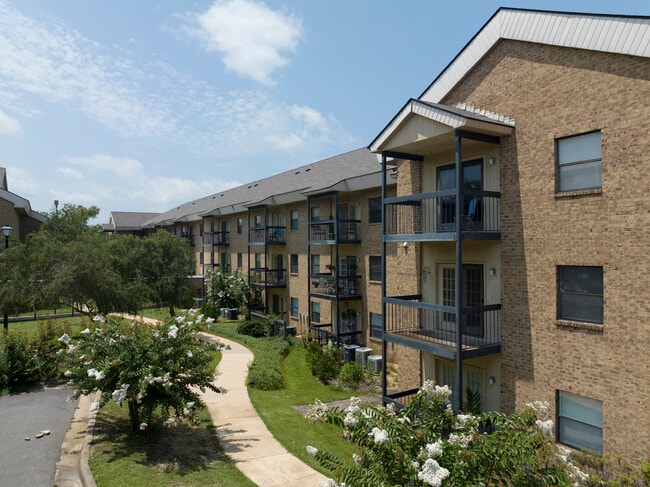CaraVita Village 55+ Senior Apartments