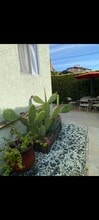 1943 Vista Del Mar St, Unit 3 in Los Angeles, CA - Building Photo - Building Photo