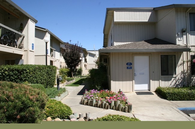 Clubside Apartments in Davis, CA - Building Photo - Building Photo