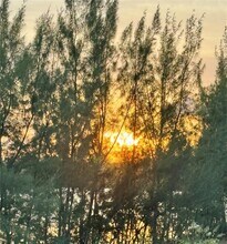 8650 NW 97th Ave in Doral, FL - Building Photo - Building Photo