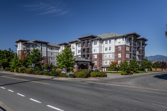 Cotton Ridge in Chilliwack, BC - Building Photo - Primary Photo