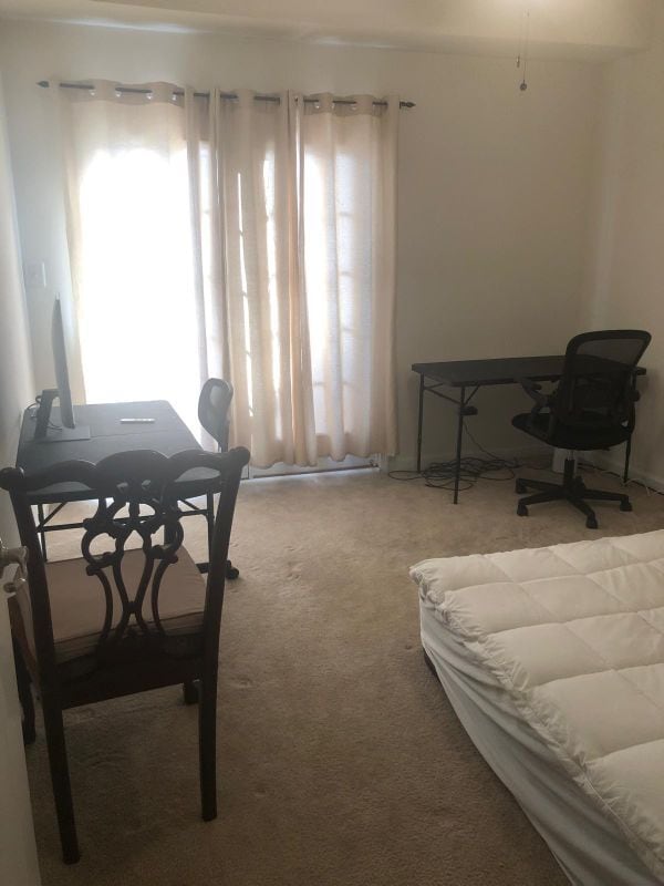 property at 42115 Piebald Square