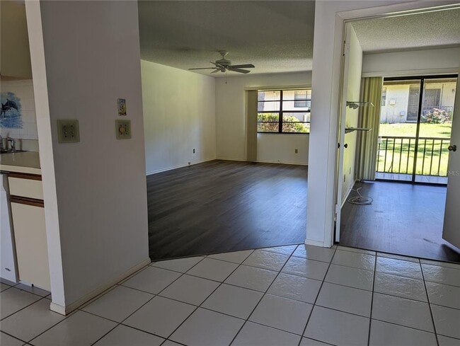4023 Bluff Oak Ct in Palm Harbor, FL - Building Photo - Building Photo