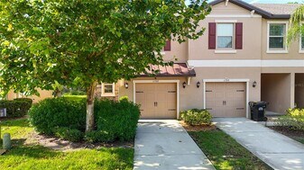 11742 Castine St in New Port Richey, FL - Building Photo