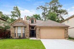 4423 Appalachian Trail in Houston, TX - Building Photo