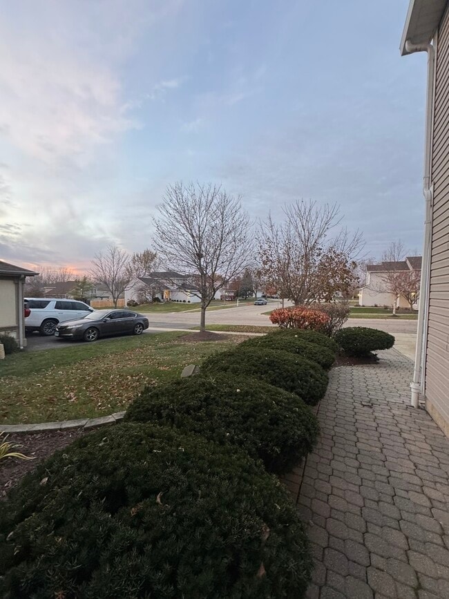 426 Thunder Ridge in Lake In The Hills, IL - Building Photo - Building Photo