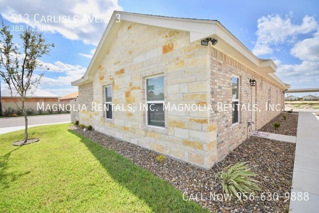 513 Carlisle Ave, Unit 3 in Edinburg, TX - Building Photo - Building Photo