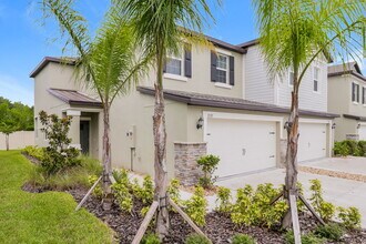 2137 Cerulean Sky Dr in Lutz, FL - Building Photo - Building Photo