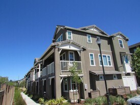 147 Apricot St in Livermore, CA - Building Photo