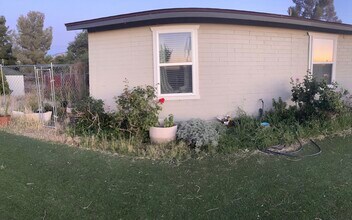 855 W La Osa St in Oracle, AZ - Building Photo - Building Photo