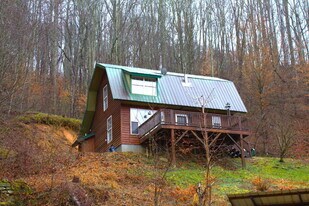 904 Morgan Branch Rd in Marshall, NC - Building Photo