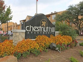 Chestnut Hill