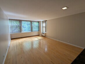 30 E Elm St in Chicago, IL - Building Photo - Building Photo