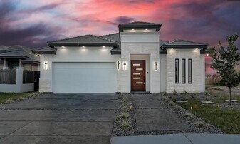 2704 W Hatfield Ave in Edinburg, TX - Building Photo