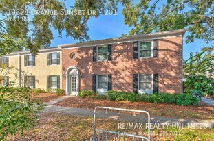 13828 Orange Sunset Dr in Tampa, FL - Building Photo