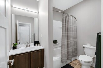 534 Madison Ave in Albany, NY - Building Photo - Building Photo