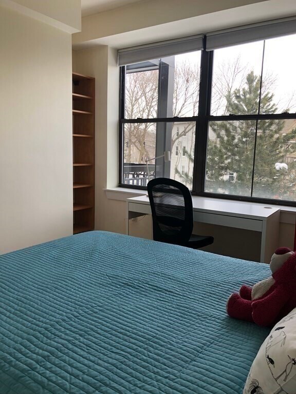 234 Cypress St, Unit 207 in Brookline, MA - Foto de edificio - Building Photo