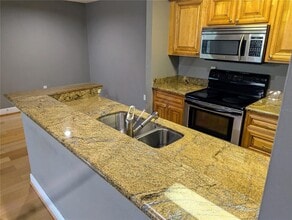 4211 Chatham Oak Ct in Tampa, FL - Building Photo - Building Photo
