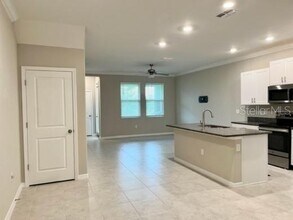 31535 Blue Passing Loop in Wesley Chapel, FL - Building Photo - Building Photo