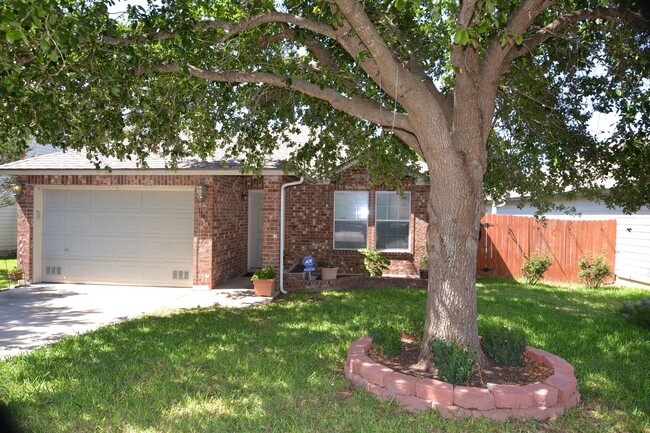property at 11116 Vollmer Ln