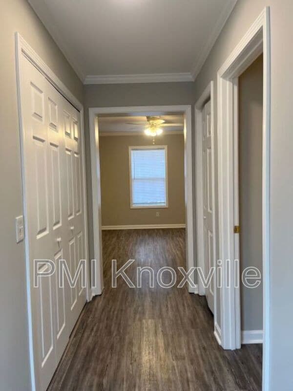 9211 George Williams Rd in Knoxville, TN - Building Photo - Building Photo