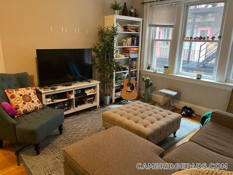 11 Gray St in Cambridge, MA - Building Photo