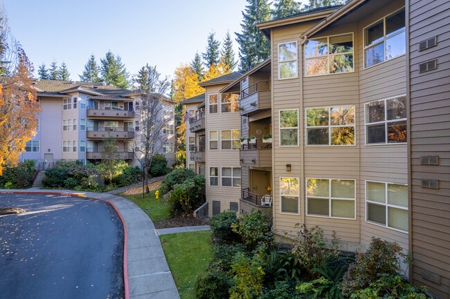 Silver Glen Cooperative Apartments in Bellevue, WA - Building Photo - Building Photo