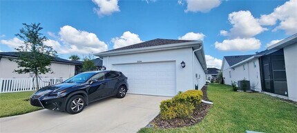 28564 Sweet Persimmon Dr in Wesley Chapel, FL - Building Photo - Building Photo