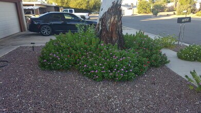 7840 N Rasmussen Ave in Tucson, AZ - Building Photo - Building Photo