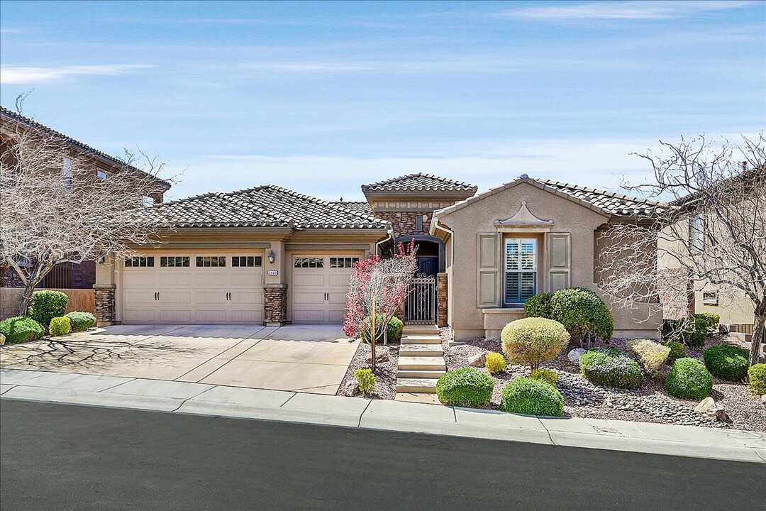 2809 Sisteron Ct in Henderson, NV - Building Photo