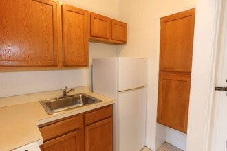 1167 N Dearborn St in Chicago, IL - Building Photo - Building Photo