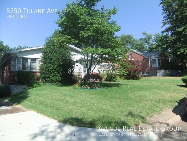 8250 Tulane Ave in St. Louis, MO - Building Photo - Building Photo