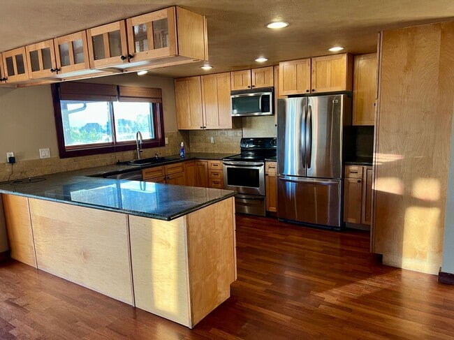 260 Alto Ln in Carbondale, CO - Building Photo - Building Photo