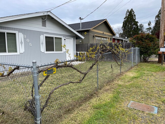 property at 305 Kruse St