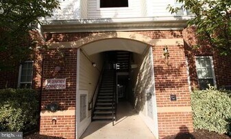 21216 McFadden Sq, Unit 207 in Sterling, VA - Building Photo