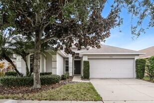 11136 Rodeo Ln in Riverview, FL - Building Photo