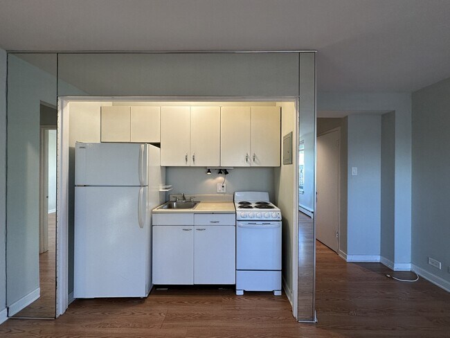 450 W Wellington Ave in Chicago, IL - Foto de edificio - Building Photo