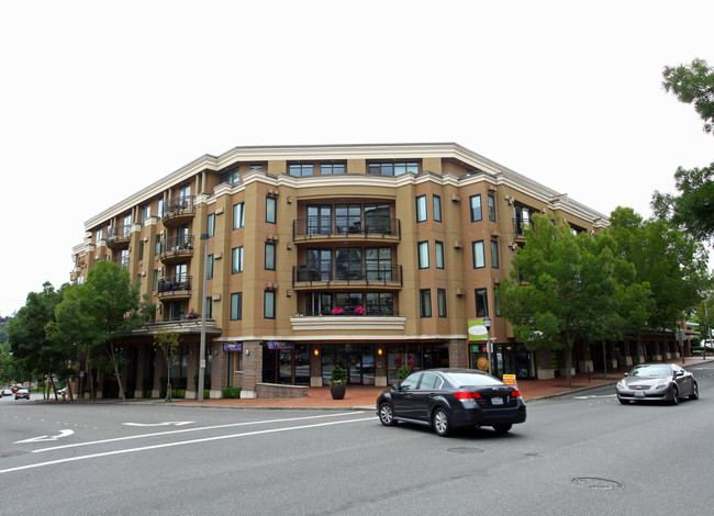 Astoria Condos in Bellevue, WA - Foto de edificio - Building Photo