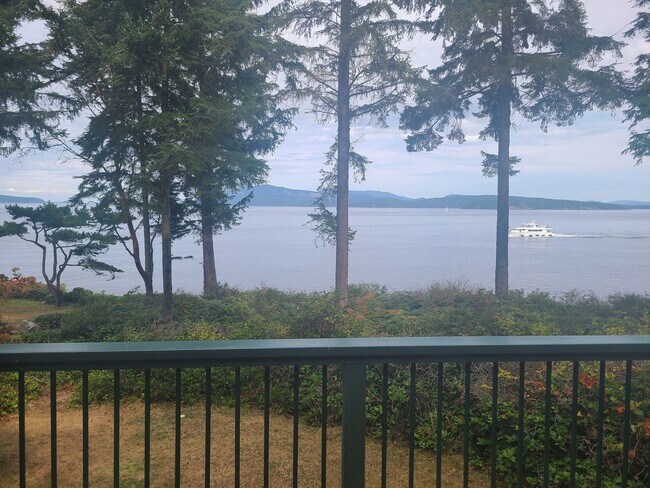 1376 San Juan Dr in Friday Harbor, WA - Building Photo - Building Photo