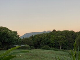 1815 Kaehulua Pl, Unit Purple House in Kapaa, HI - Building Photo