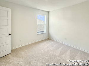 820 Heartseed Ave in New Braunfels, TX - Building Photo - Building Photo